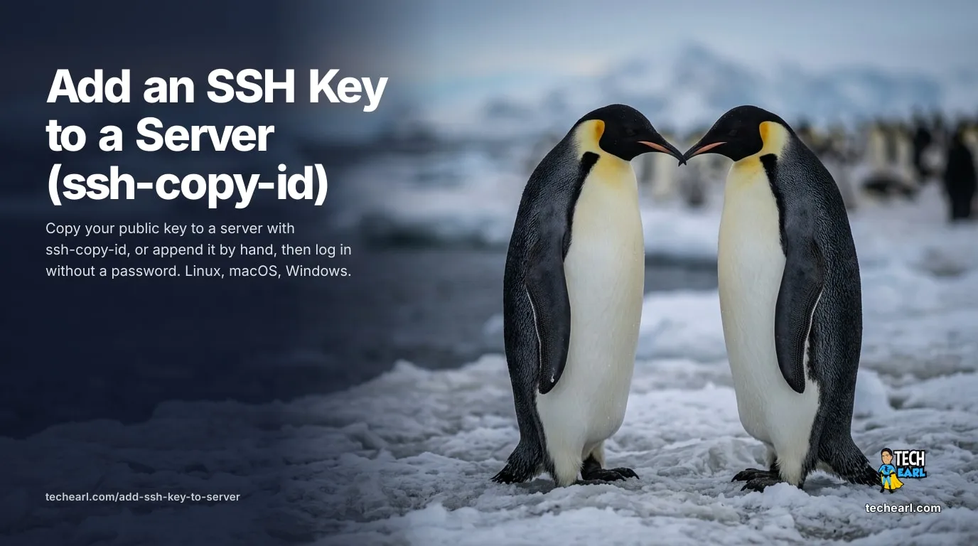 How to Add an SSH Key to a Server (ssh-copy-id) Copy your SSH public key to a server with ssh-copy-id or append it to authorized_keys by hand, then log in without a password. Linux, macOS, Windows.