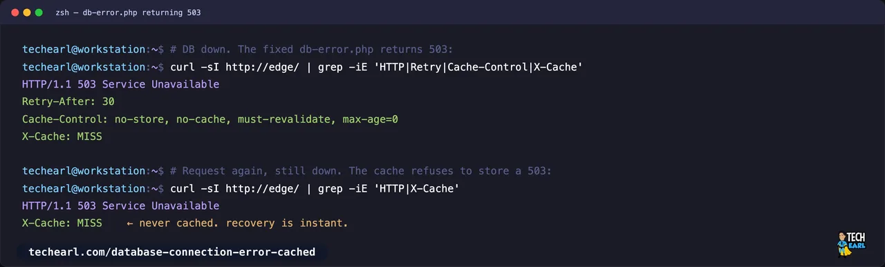 With db-error.php returning 503 and no-store, Varnish returns X-Cache MISS on every request during the outage and never caches the error