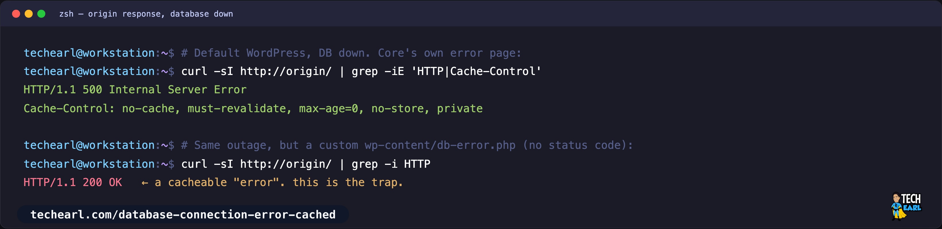 curl showing WordPress core returns HTTP 500 with no-cache headers for the database error, while a custom db-error.php returns HTTP 200