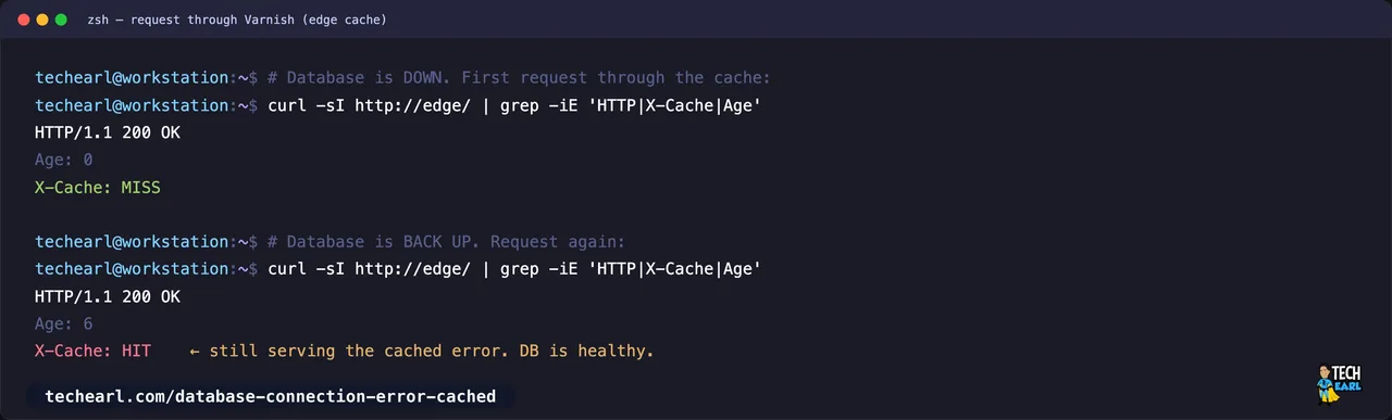Varnish returns X-Cache MISS for the database error while the database is down, then X-Cache HIT serving the same cached error after the database is back up