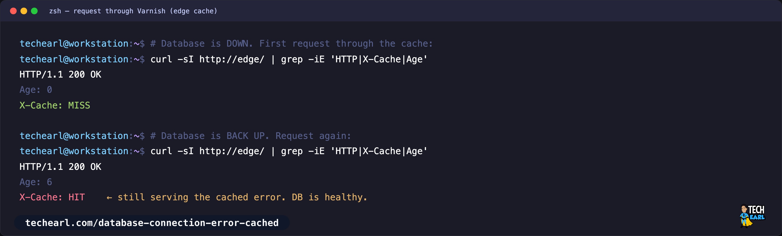 Varnish returns X-Cache MISS for the database error while the database is down, then X-Cache HIT serving the same cached error after the database is back up