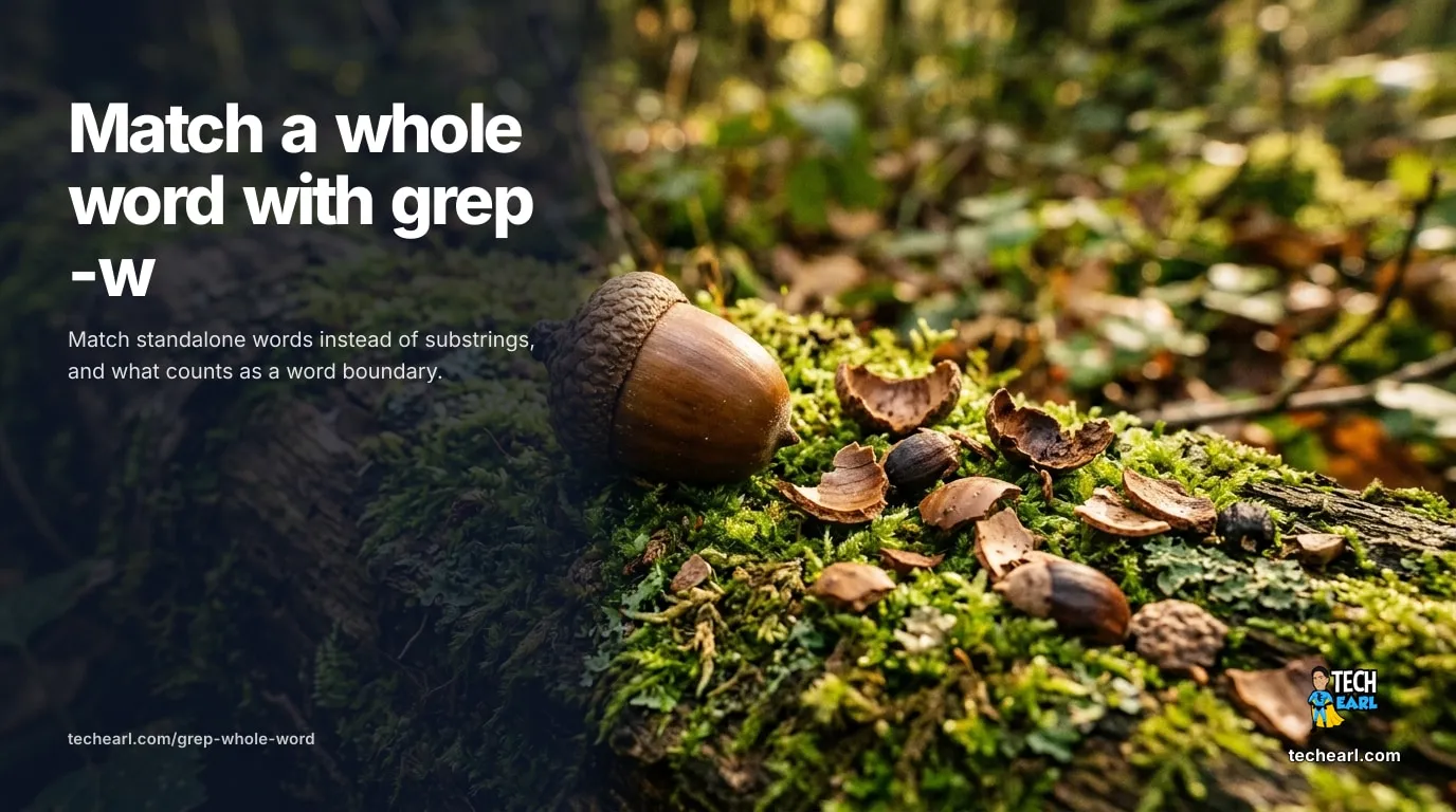 grep -w: Match a Whole Word, Not a Substring (2026) Use grep -w to match a whole word instead of a substring. What grep counts as a word boundary, the \b and \< \> regex equivalents, -x for whole-line match, and BSD vs GNU differences.