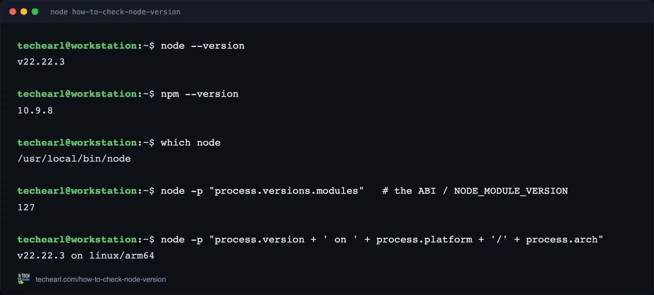 Captured live A live terminal showing node --version, npm --version, which node, and process.versions.modules.