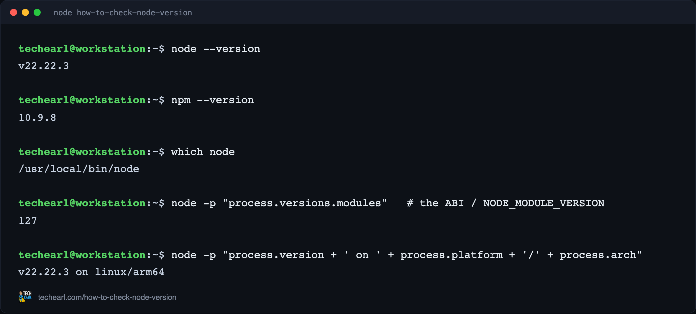 How to Check Your Node.js and npm Version (node --version)