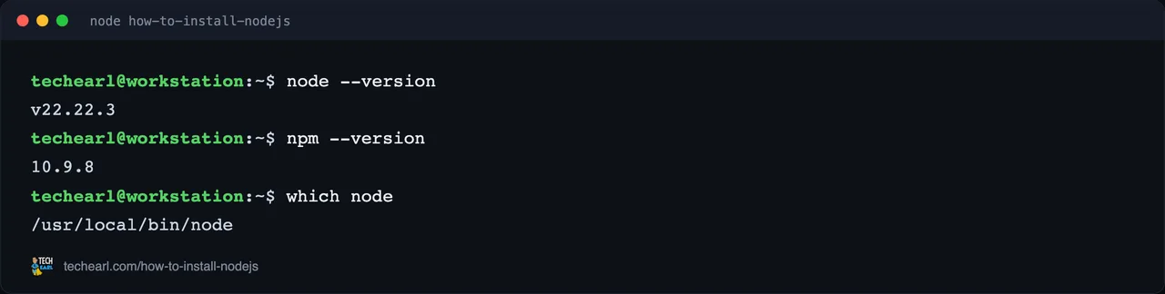 Captured live A live terminal confirming a Node install: node --version, npm --version, and which node.