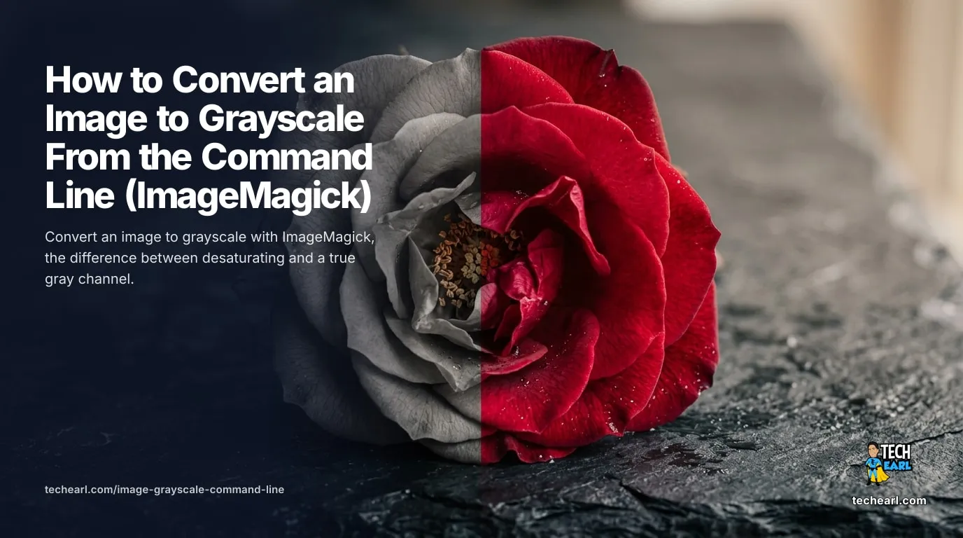 Convert an image to grayscale from the command line with ImageMagick, batch a whole folder with mogrify, add a sepia tone, and use sips on macOS without installing anything.