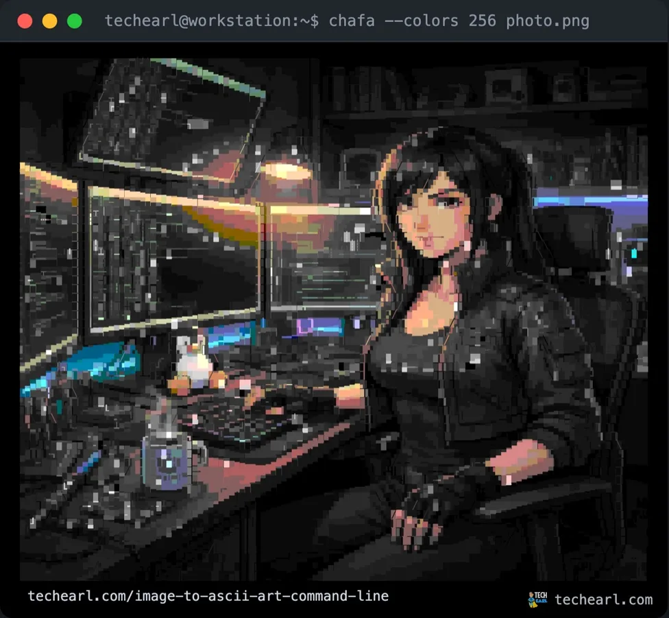 chafa rendering of the image forced to 256-color mode