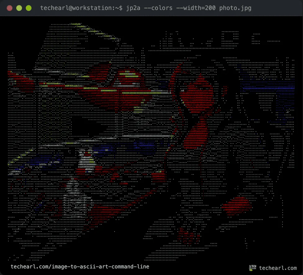 The same source image as ANSI-colored ASCII art from jp2a at 200 columns