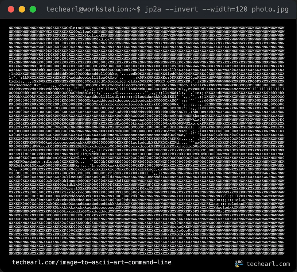 jp2a output with inverted brightness mapping so it reads correctly on a dark terminal