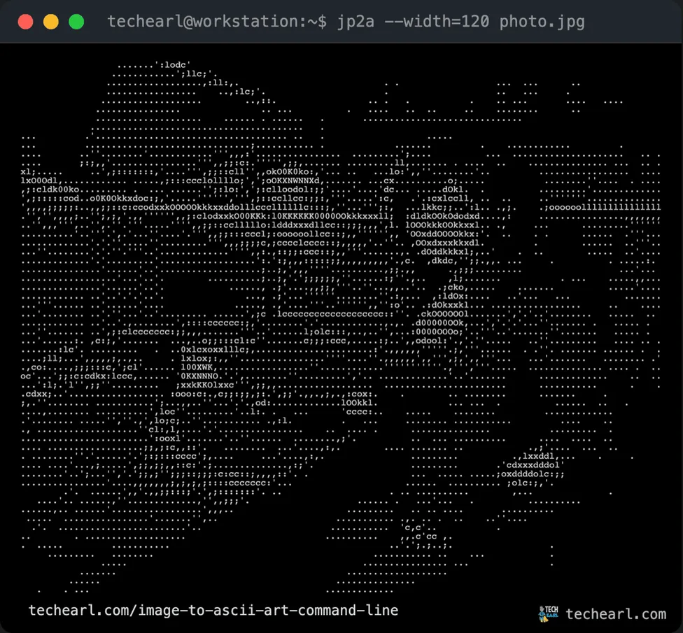 jp2a ASCII art of the source image at 120 columns, noticeably more detailed than 80