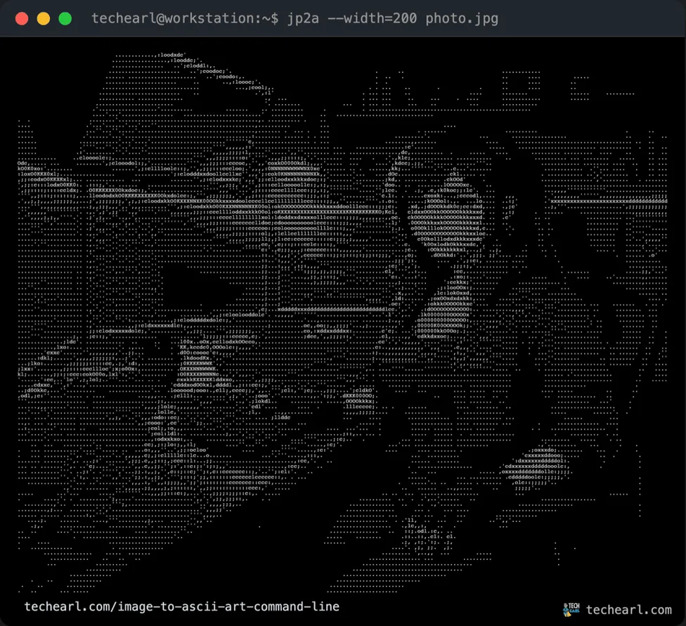 jp2a ASCII art of the source image at 200 columns, reading clearly as the original photo