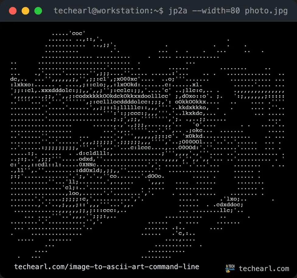 Classic monochrome ASCII art portrait of the source image produced by jp2a at 80 columns