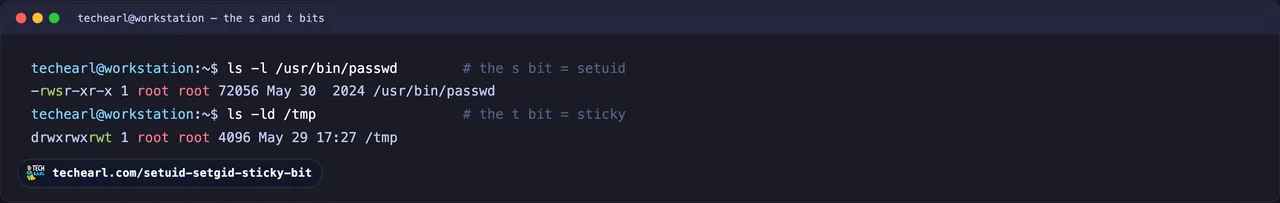 The s and t bits in ls -l Terminal showing ls -l of /usr/bin/passwd with rws (setuid) and ls -ld of /tmp with a trailing t (sticky bit).