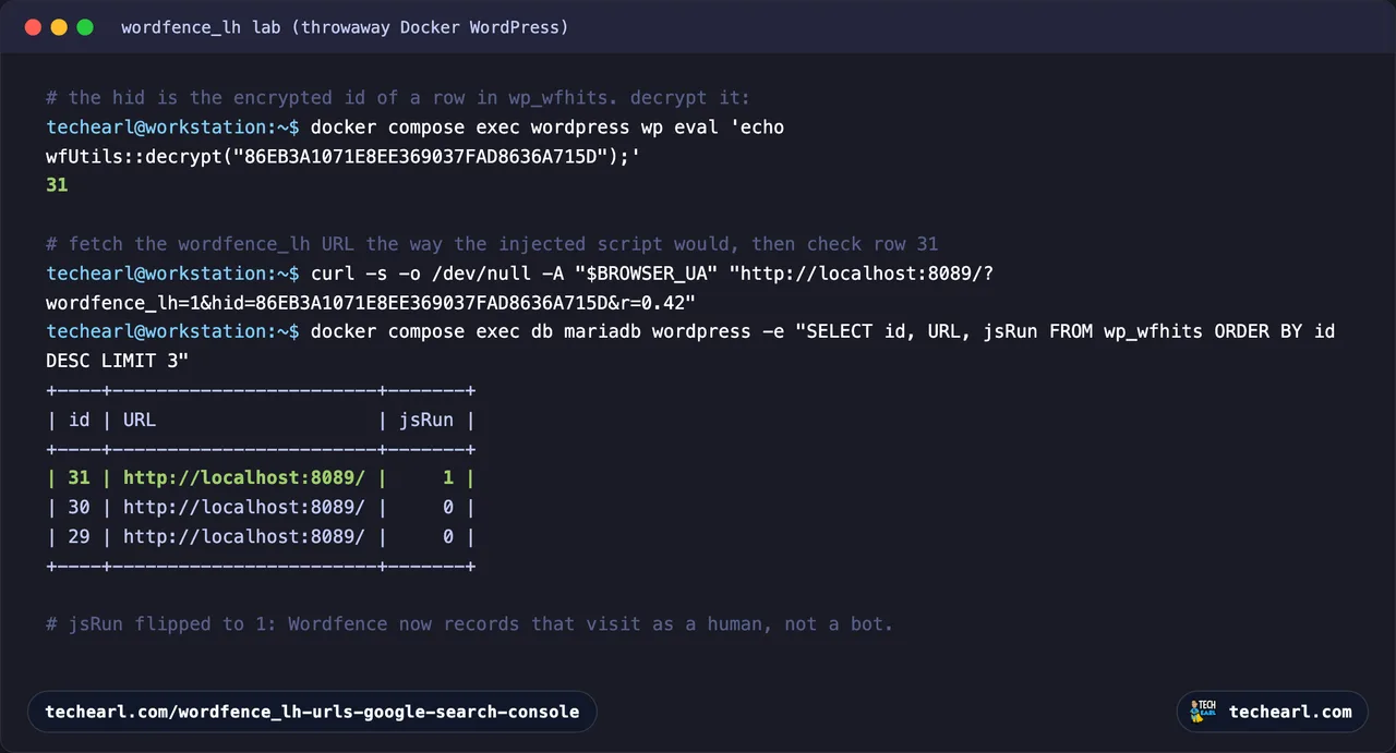 Terminal showing the hid parameter decrypting to wfhits row 31, and the jsRun column flipping to 1 after the wordfence_lh URL is requested