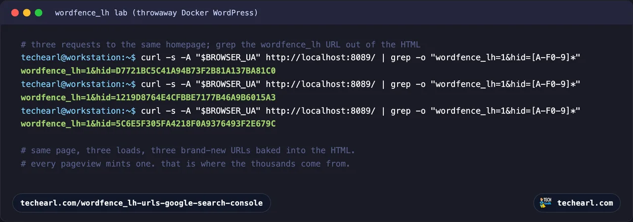 Terminal showing three curl requests to the same WordPress homepage, each returning a different wordfence_lh hid value in the HTML source
