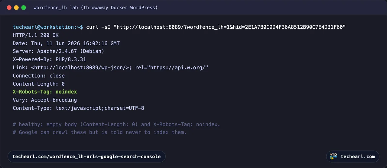 Terminal showing curl -sI output for a wordfence_lh URL: HTTP 200, Content-Length 0, and X-Robots-Tag noindex