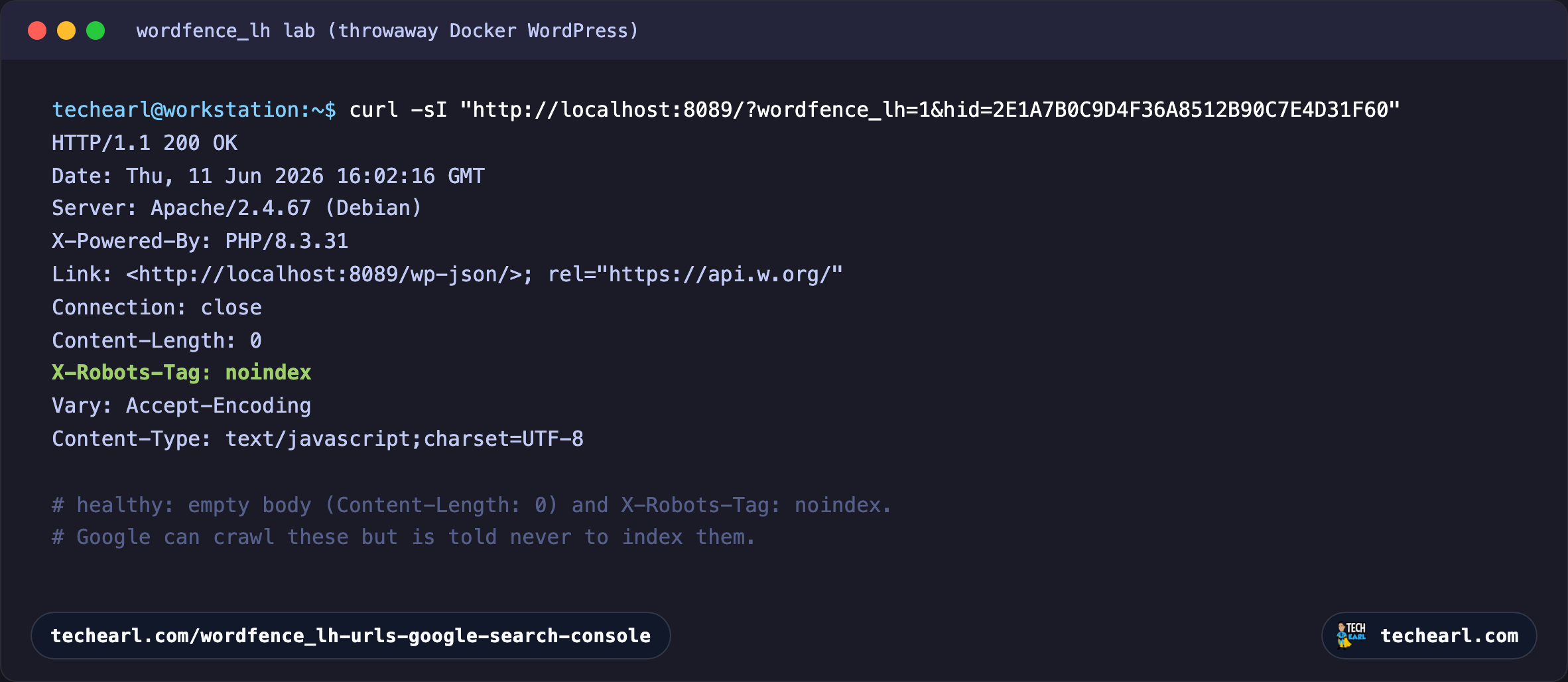 Terminal showing curl -sI output for a wordfence_lh URL: HTTP 200, Content-Length 0, and X-Robots-Tag noindex