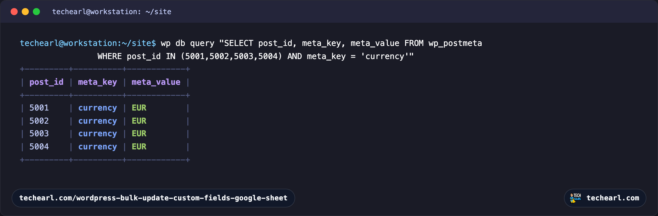 A MySQL query against wp_postmeta for posts 5001 to 5004, each returning a currency row with the value EUR, the value that came from the Google Sheet