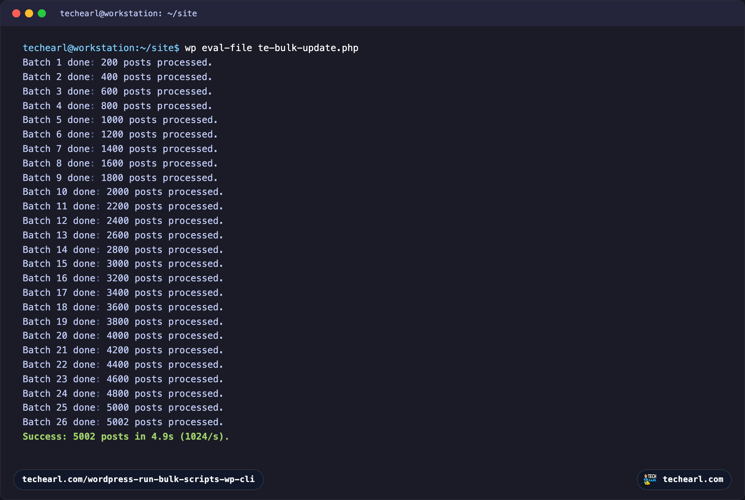 A terminal running wp eval-file, logging each batch of 200 posts and finishing with a success line reading 5,002 posts in 4.9s at 1024 posts per second